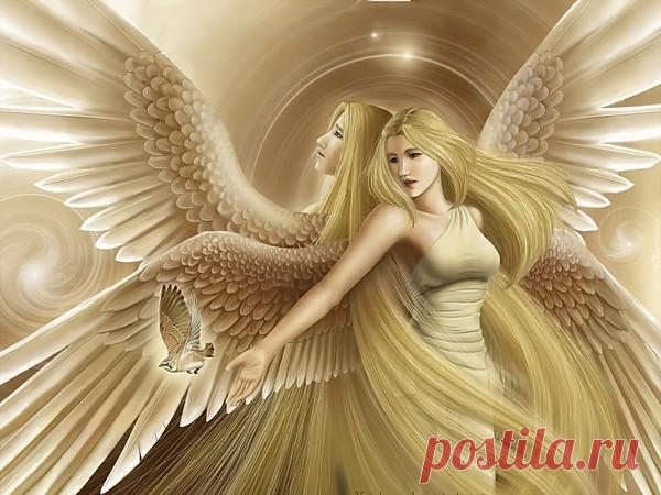 Ангелы (мистическая история) – Сказки рассказы , пользователь Добрый Волк Волкович | Группы Мой Мир