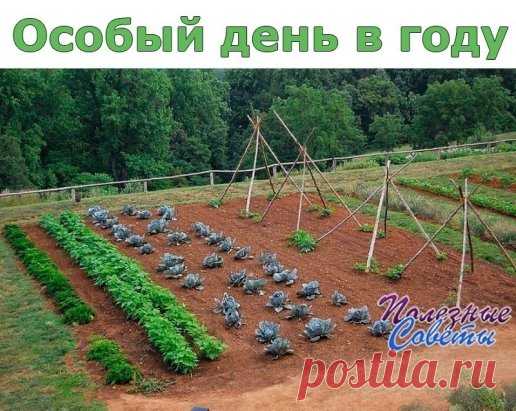 (1) Одноклассники