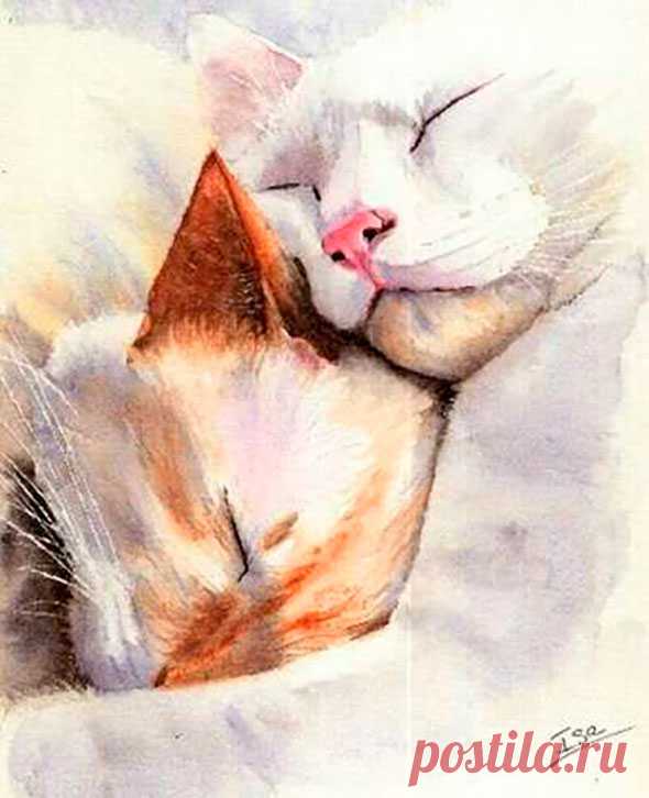 Самые милые нарисованные котики