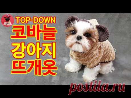 [써니의실노리]코바늘 탑다운 곰돌이 강아지 고양이 뜨개옷ㅣHow to crochet a dog sweater