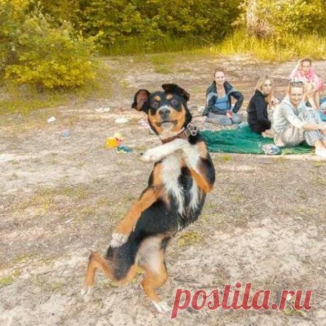 Одноклассники