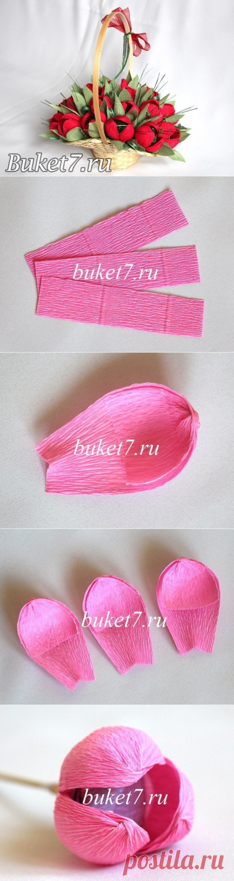 Наталия Сбитнева