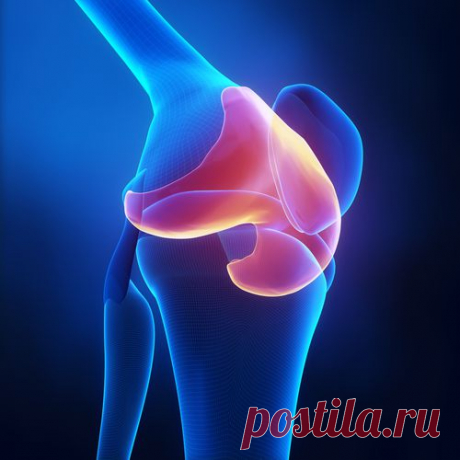 Как быстро восстановить поврежденный хрящ? - Шаг к Здоровью