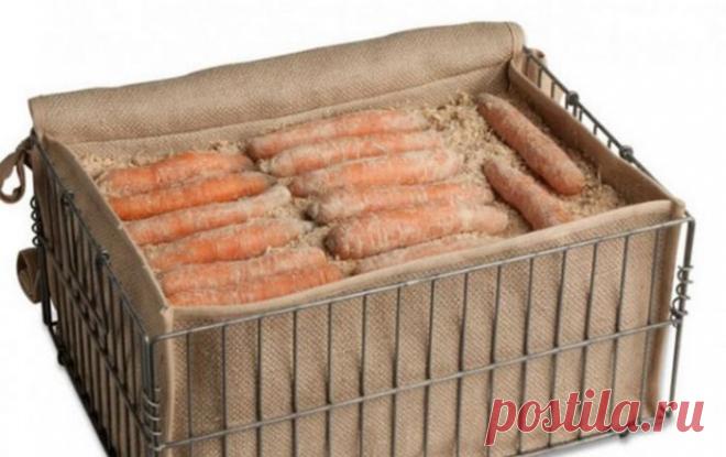 Как правильно хранить овощи и фрукты в погребе