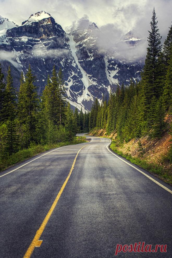 natureac:
“ Do you like tattoos? Check out this blog!
”