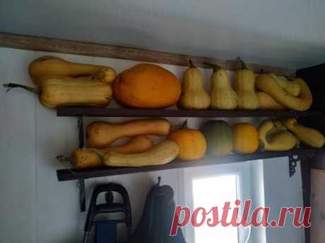 Сказка продолжается Видео каждый день Своими руками Чистка канала ЕленаСитникова