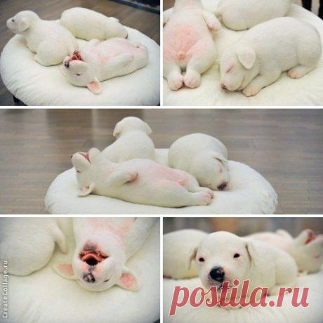 Фотографии на стене сообщества | 30 219 фотографий | ВКонтакте