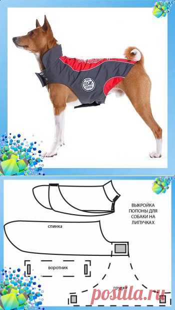 Выкройка попоны на липучках для собаки
