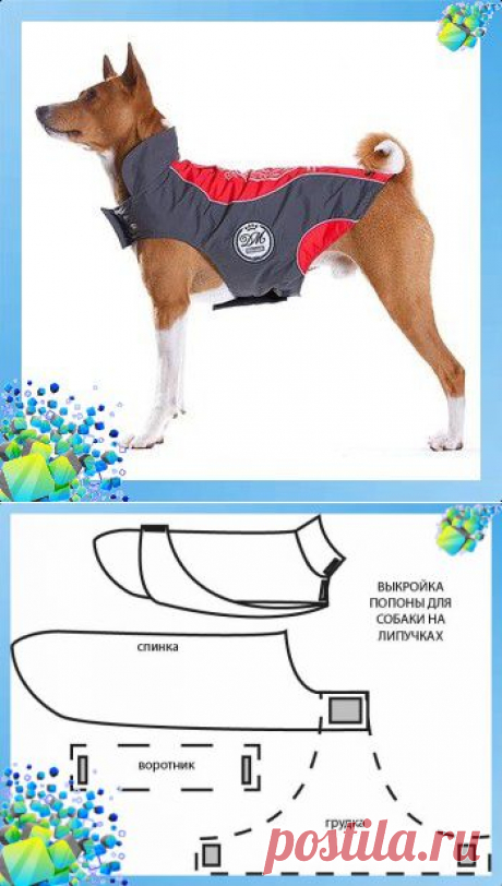 Выкройка попоны на липучках для собаки