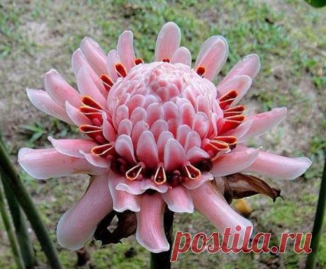 Удивительные кадры