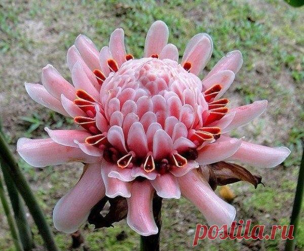 Удивительные кадры