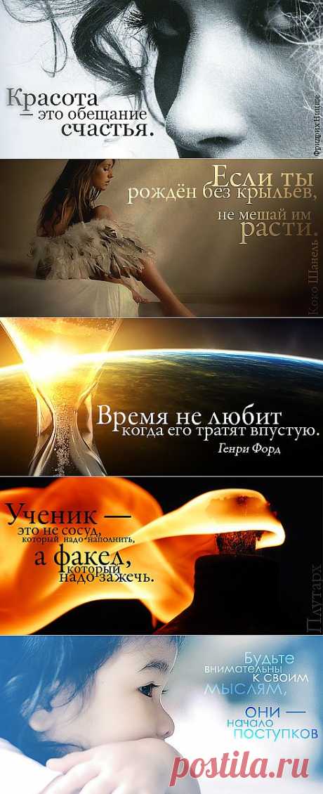 Картинки с цитатами (лучшие цитаты со смыслом и цитаты в картинках)