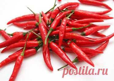 stenas.ru - Перец чили увеличивает продолжительность жизни / Новости.