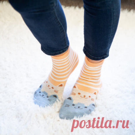 Peach Stripes with Creme and Blue Twin Kitties Socks - iHeartCats.com