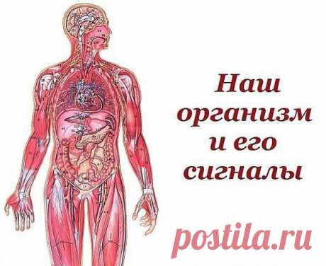 (2) Одноклассники