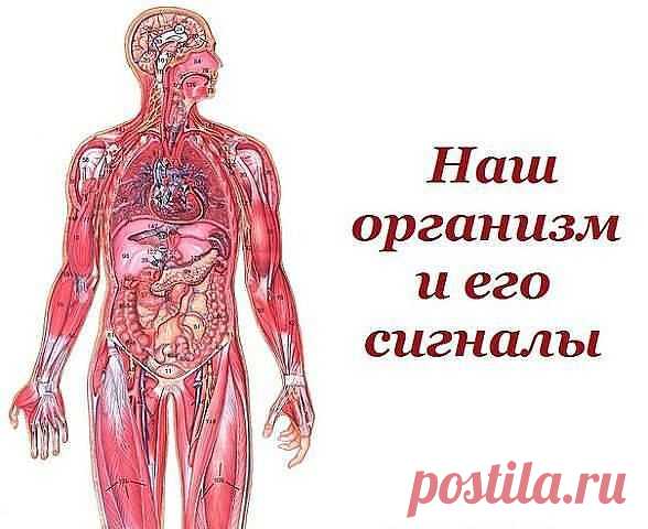 (2) Одноклассники