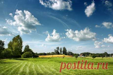 Фотопост: первый день лета | Selfhacker.ru