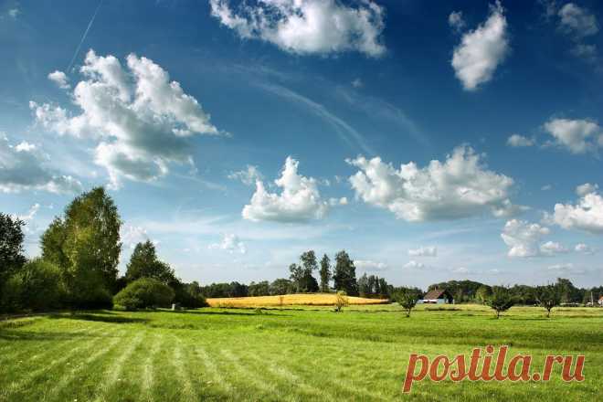 Фотопост: первый день лета | Selfhacker.ru