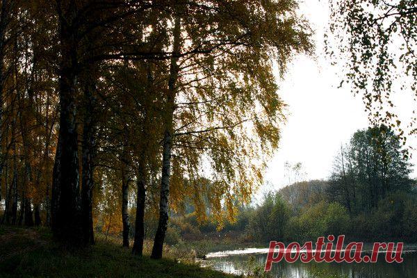 Природа, животные и птицы | Фотографии Александр Пехов | 390 фото