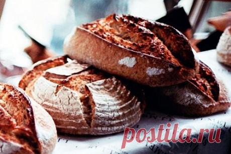 В Краснодаре пройдет ярмарка «Хлеб да соль». В Краснодаре в честь Дня города с 16 по 25 сентября заработает ярмарка «Хлеб да соль». Мероприятие будет проходить с 10:00 до 23:00 на Пушкинской площади. На территории ярмарки будет работать ресторанный дворик, где гости смогут попробовать мясные деликатесы, медовую продукцию, грибы и ягоды.