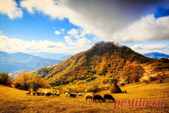 Неповторимый запах травы, малиновый закат… Лето… — Фотоискусство