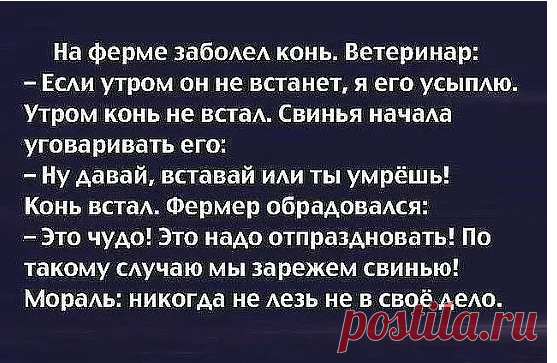 6 непрочитанных чатов