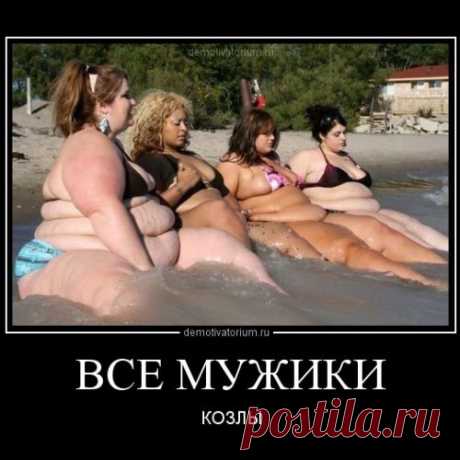 Мужицкий юмор!