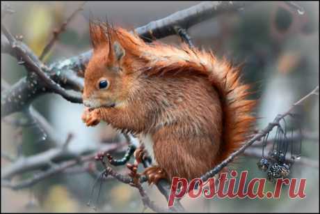Природа планеты в объективе
