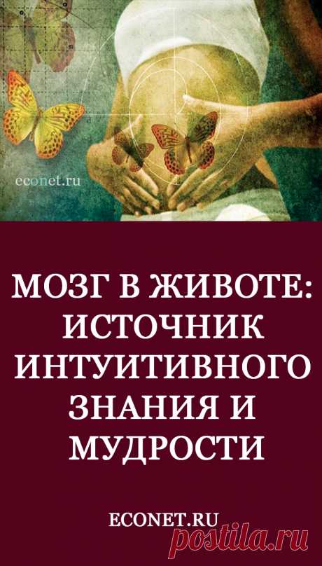 Мозг в животе: источник интуитивного знания и мудрости

Вы задумывались когда-нибудь над такими выражениями как «кишками чую», или «странное чувство в животе», у американцев есть, например, выражение «feel butterflies in my belly (stomach)», которое перешло и в наш язык.