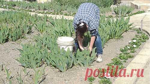 Радуемся весне и теплу, а готовимся к снегу.