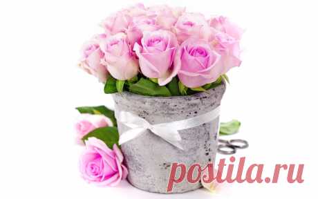Скачать обои цветы, ваза, букет, ribbon, розы, romantic, pink, bouquet, roses, раздел цветы в разрешении 1280x800