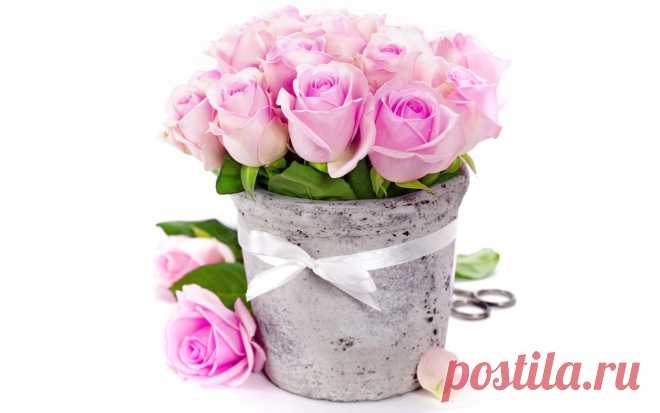 Скачать обои цветы, ваза, букет, ribbon, розы, romantic, pink, bouquet, roses, раздел цветы в разрешении 1280x800