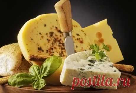 Какой сыр полезнее для здоровья