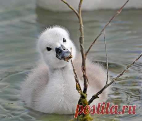 Мой Мир@Mail.Ru