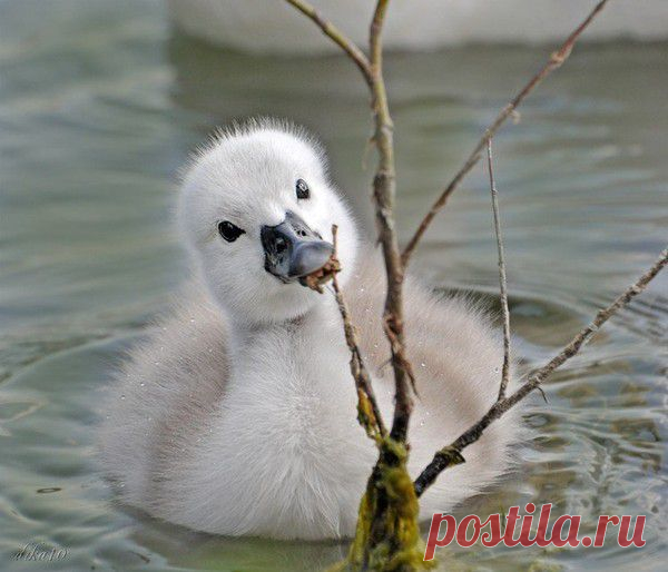 Мой Мир@Mail.Ru