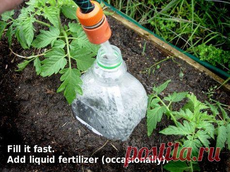 Apskatīt ziņojumu - Inbox Mail