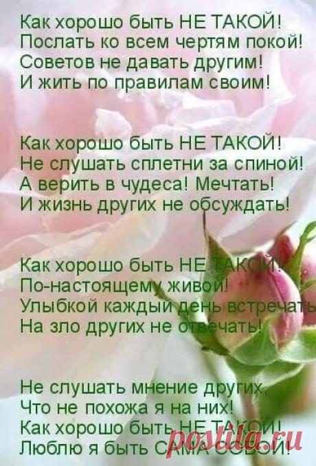 (3) Одноклассники