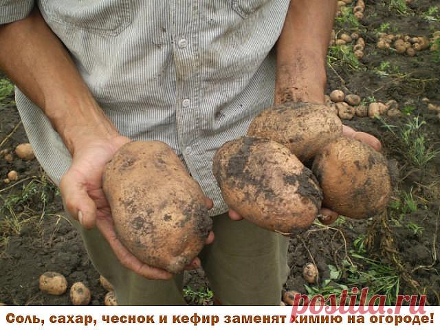 (83) Одноклассники