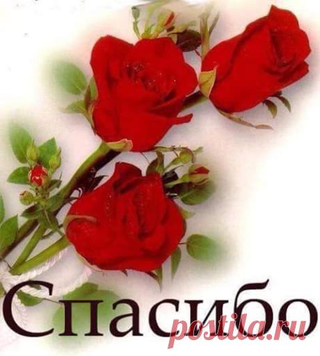 У меня все прекрасно!