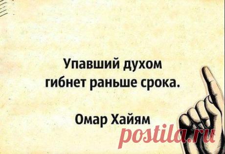 НЕ ПАДАТЬ ДУХОМ!
Sarapin A V