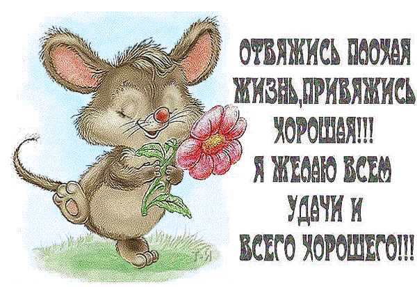 Отвяжись плохая жизнь...