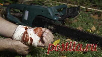 Врач Гринь рассказал, как не получить травму при работе в огороде. Руководитель Клиники реконструктивной хирургии конечностей и таза НМИЦ травматологии и ортопедии имени академика Илизарова Минздрава России Алексей Гринь рассказал, как избежать травм при работе в огороде. Читать далее