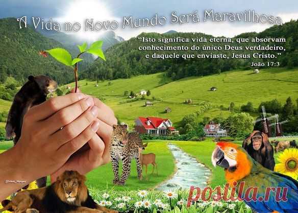 (20+) Facebook