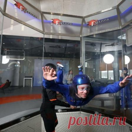 Шницель "Нельсон" //  
Требуемые ингредиенты:

- 6 телячьих или свиных шницеля (по 120г);

- 500г смешанного фарша из свинины и говядины;

- 2 луковицы;

- ½ пучка петрушки;

- 2 яйца;

- соль и молотый черный перец;

- 3 ст. ложки панировочных сухарей;

- 300-400 г сливок;

- 125мл сухого белого вина;

- 200г тертого сыра.

Ход приготовления: