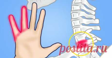 Если у вас немеют руки — немедленно к врачу! Онемение рук легко распознать по неприятным ощущениям легкого покалывания и жжения. Чаще всего данная проблема возникает по ночам. Основная причина онемения — банальное сдавливание сосудов. Однако в некоторых случаях такая проблема может сигнализировать о наличии серьезного заболевания. В любом случае посетить врача будет не лишним. Самые частые причины онемения рук 1. Это нарушение, как правило, связано […]