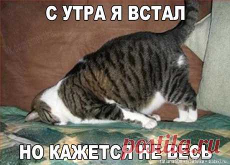 Раз, два, три - посмотри со стороны! В шутку или всерьез? / Болталка / Бэйбики. Куклы фото. Одежда для кукол