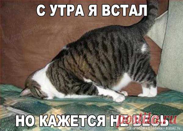 Раз, два, три - посмотри со стороны! В шутку или всерьез? / Болталка / Бэйбики. Куклы фото. Одежда для кукол