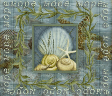 Море... Море... и ракушки