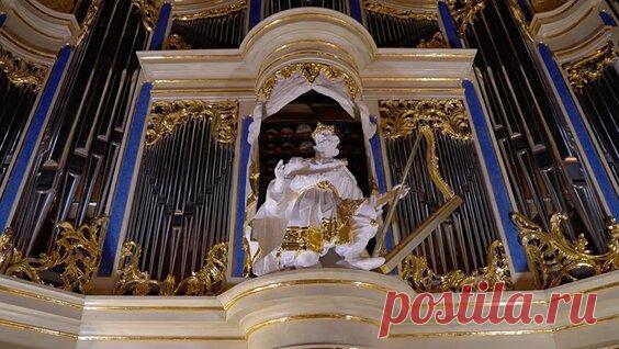 Bach. 5 Organ Masterpieces | Бах. 5 органных шедевров | Bach. 5 Meisterwerke der Orgel - поиск Яндекса по видео