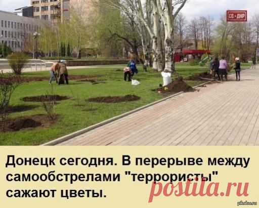 (47) Одноклассники